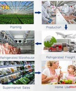 Chuỗi lạnh thực phẩm